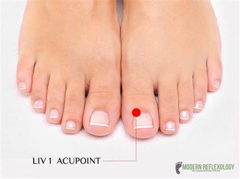 liv 1 acupuncture.